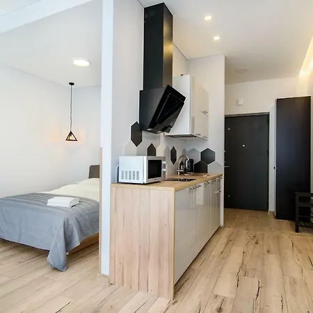 Apartment Amazing With A Terrace Wilna