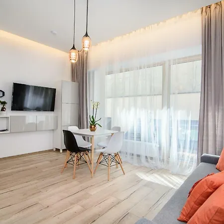 Amazing With A Terrace Apartment *